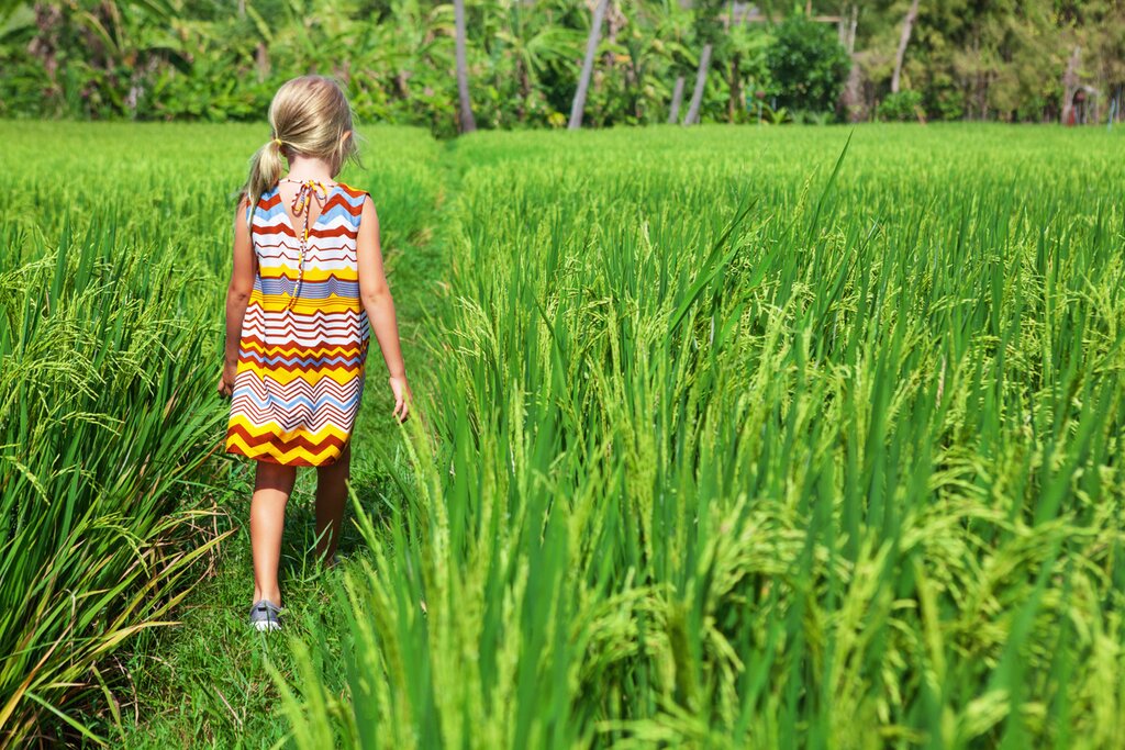 Child walking through bright green rice fields in Bali