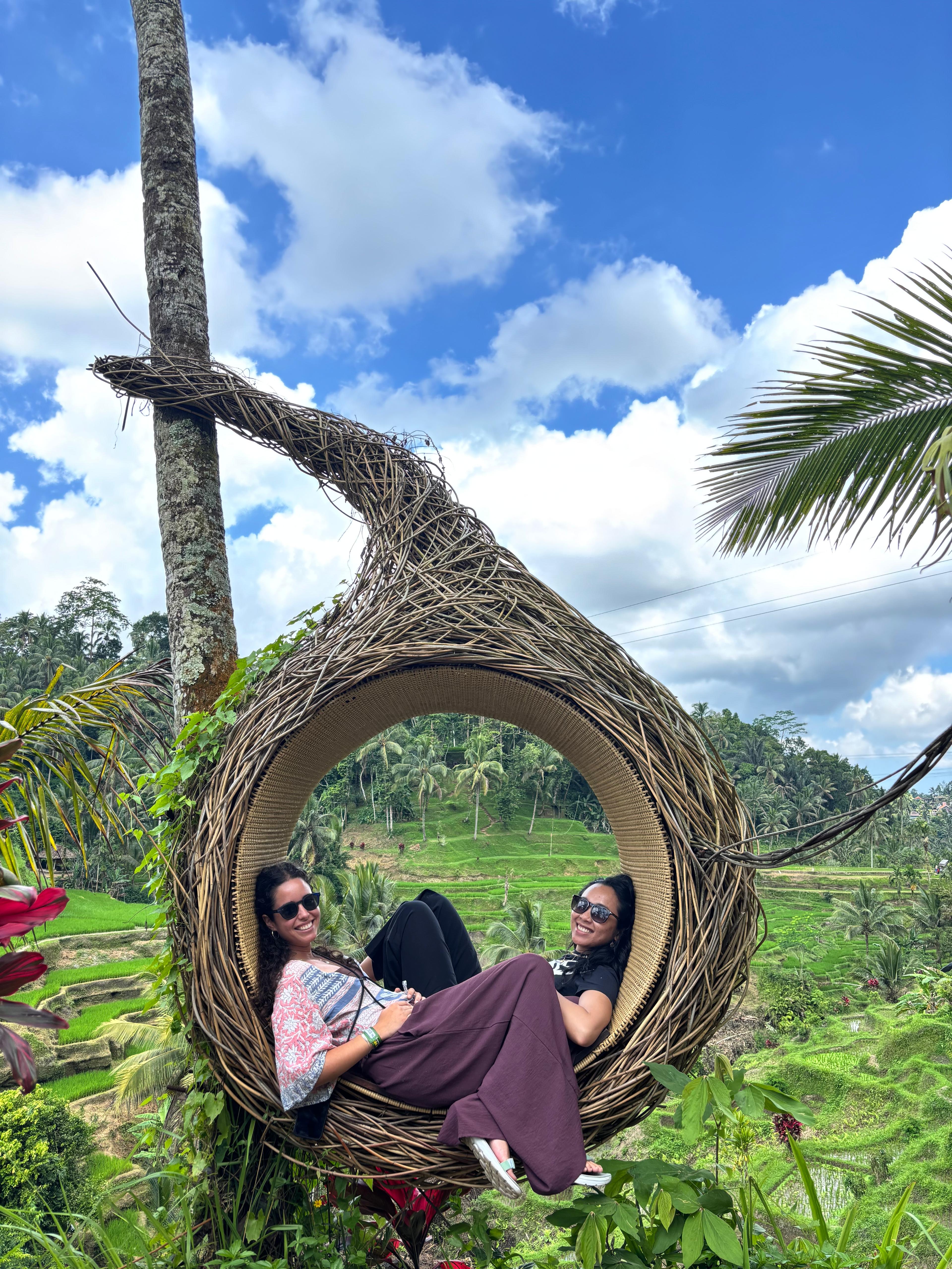 Lush rice paddies in central Bali