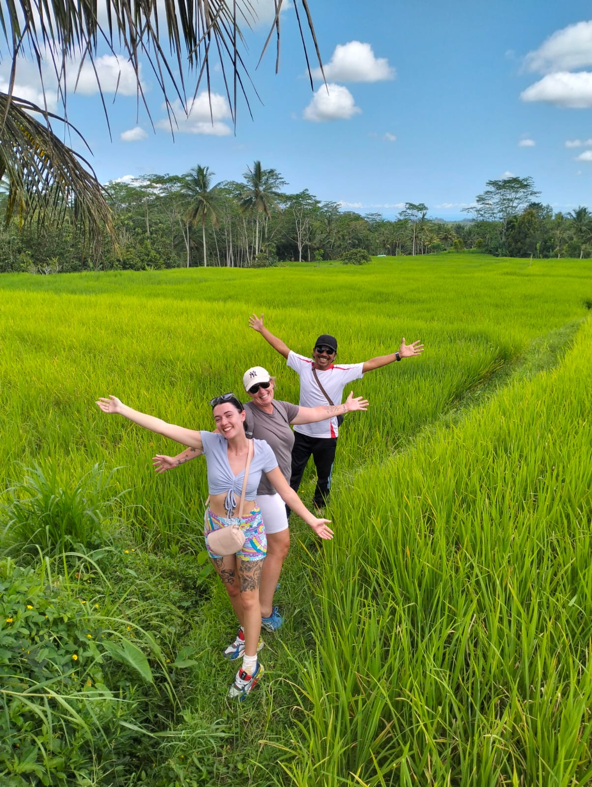 Bali rice fields in the Ubud region